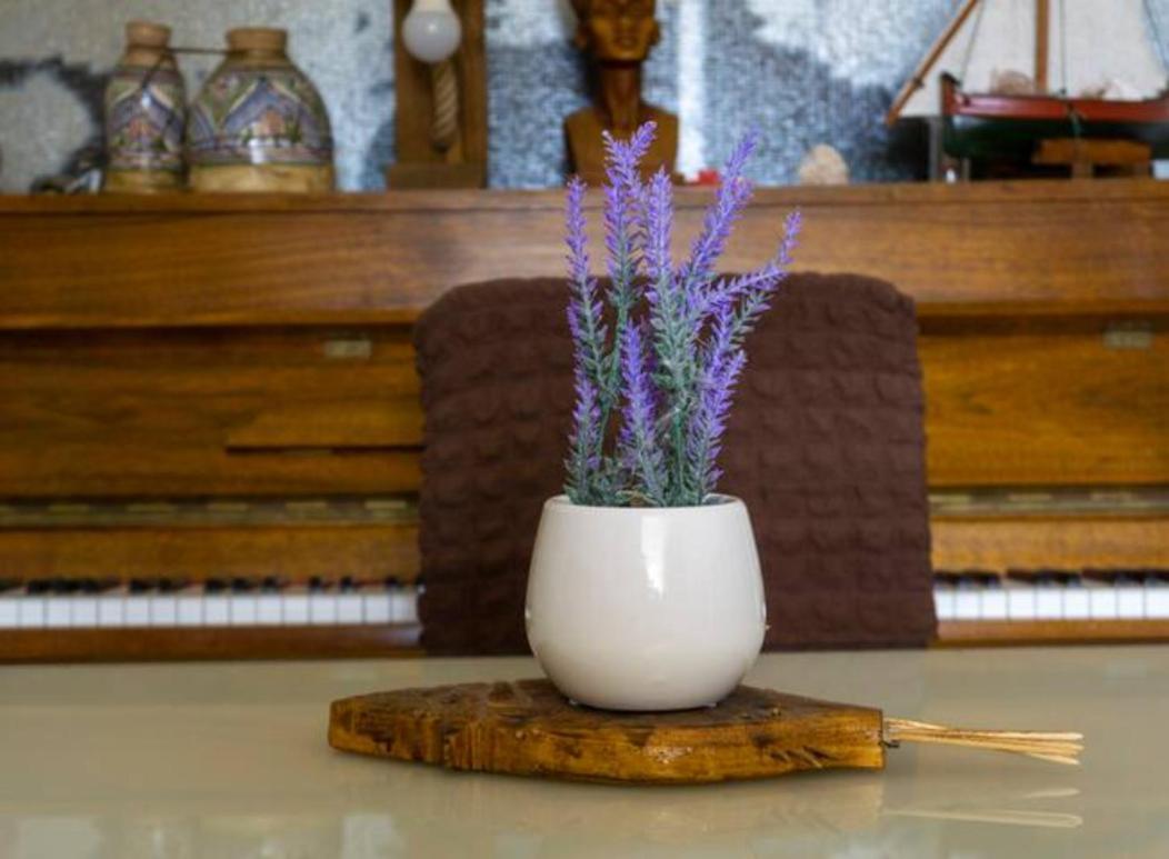 Guesthouse Lion Split Bagian luar foto